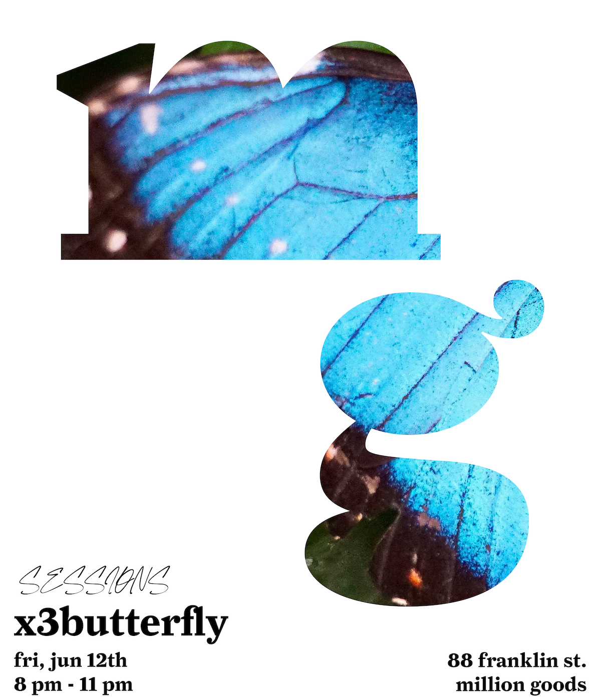 x3butterfly