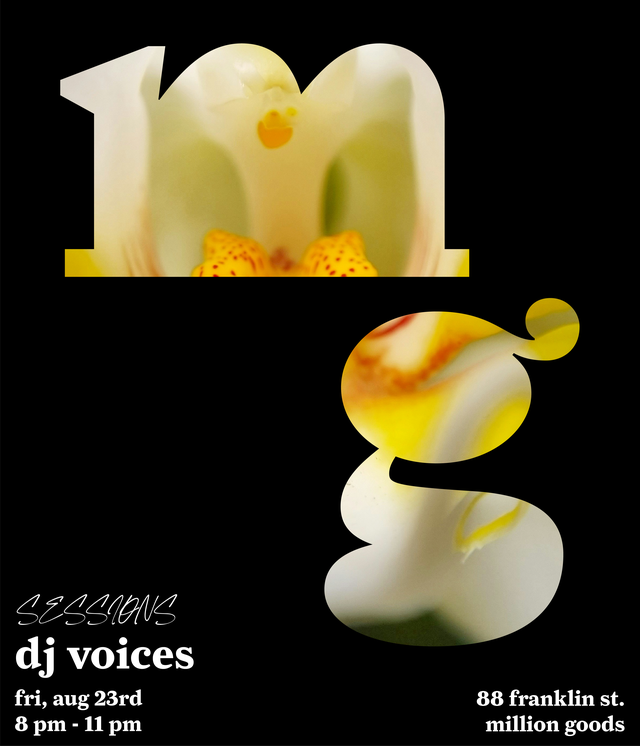 dj voices