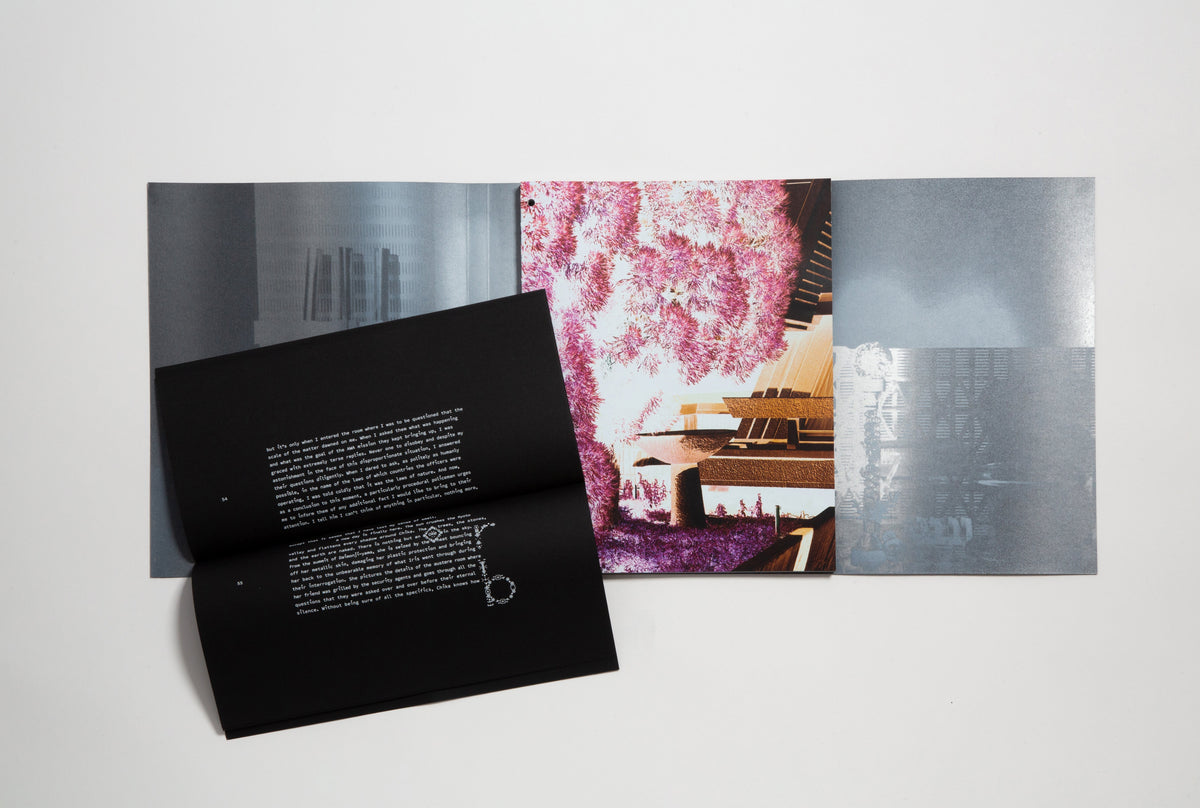 Arpa Synesthesia book open to a photographic spread